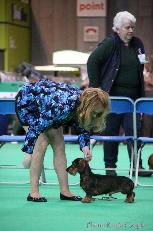 Crufts2011_2 838.jpg